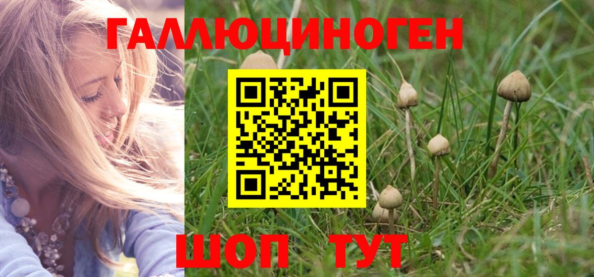 Галлюциногенные грибы Magic Shrooms Зеленодольск