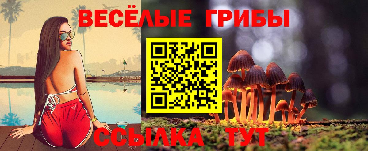 Зеленодольск  Галлюциногенные грибы прущие грибы  Вход с VPN 